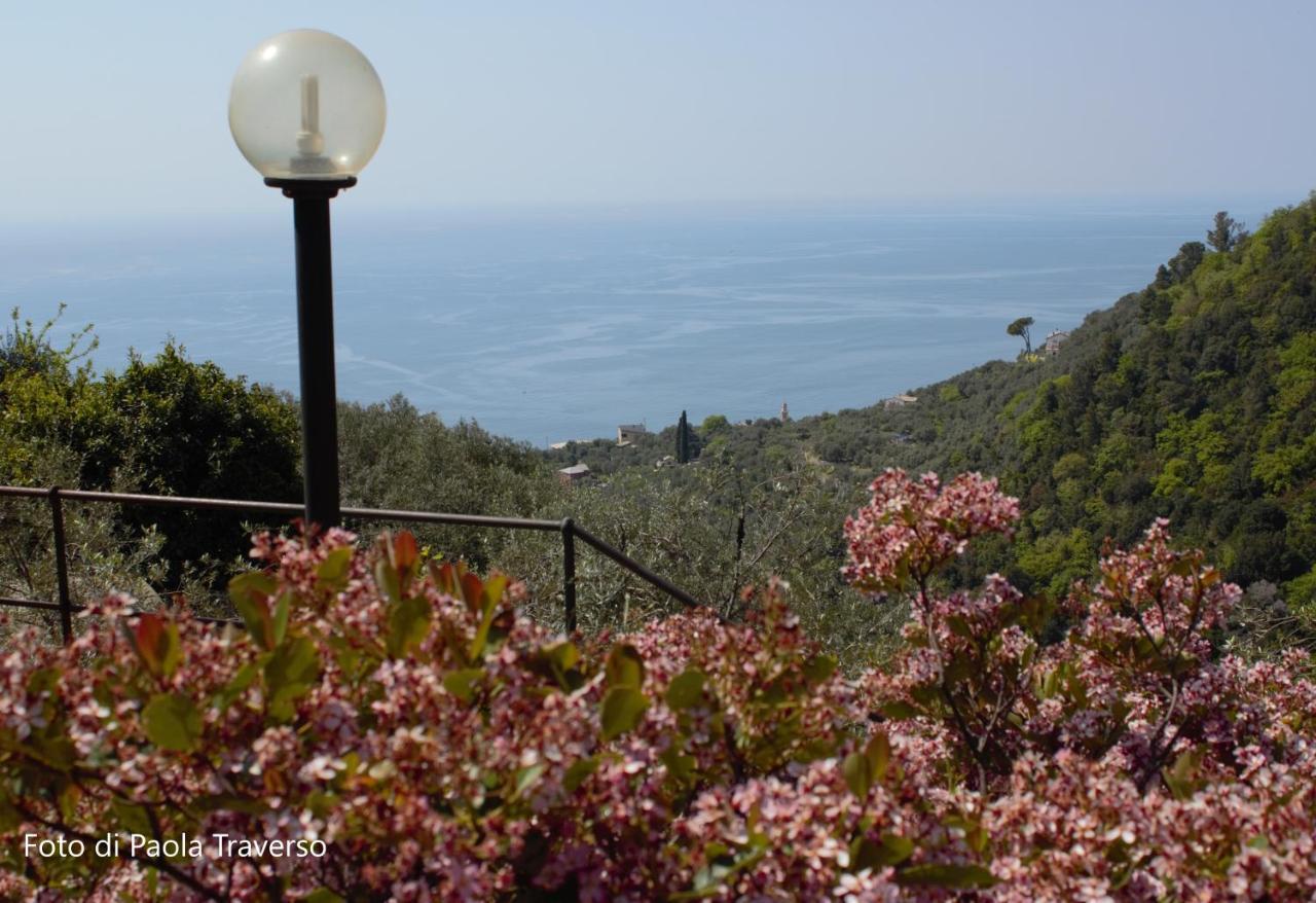 Azalea Villa Recco Eksteriør bilde