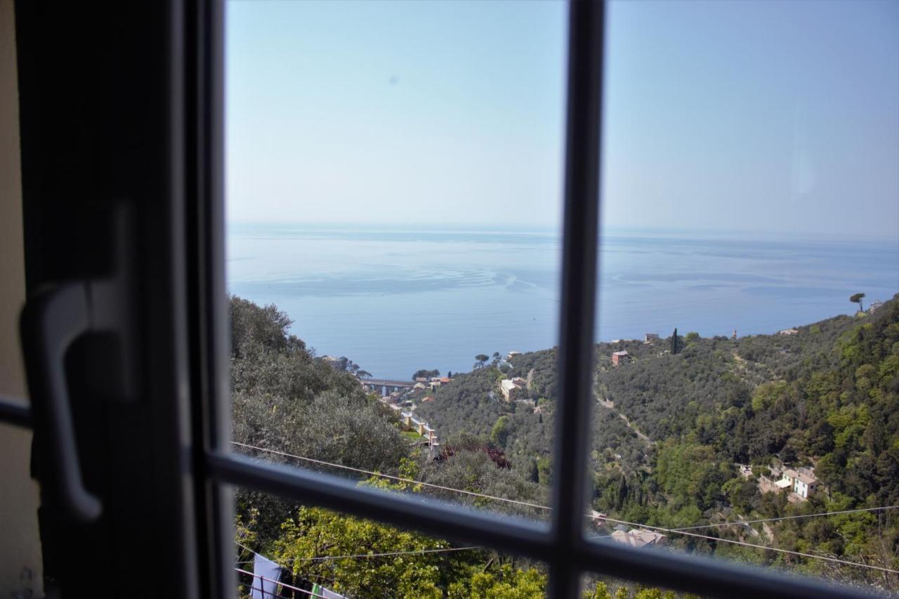 Azalea Villa Recco Eksteriør bilde