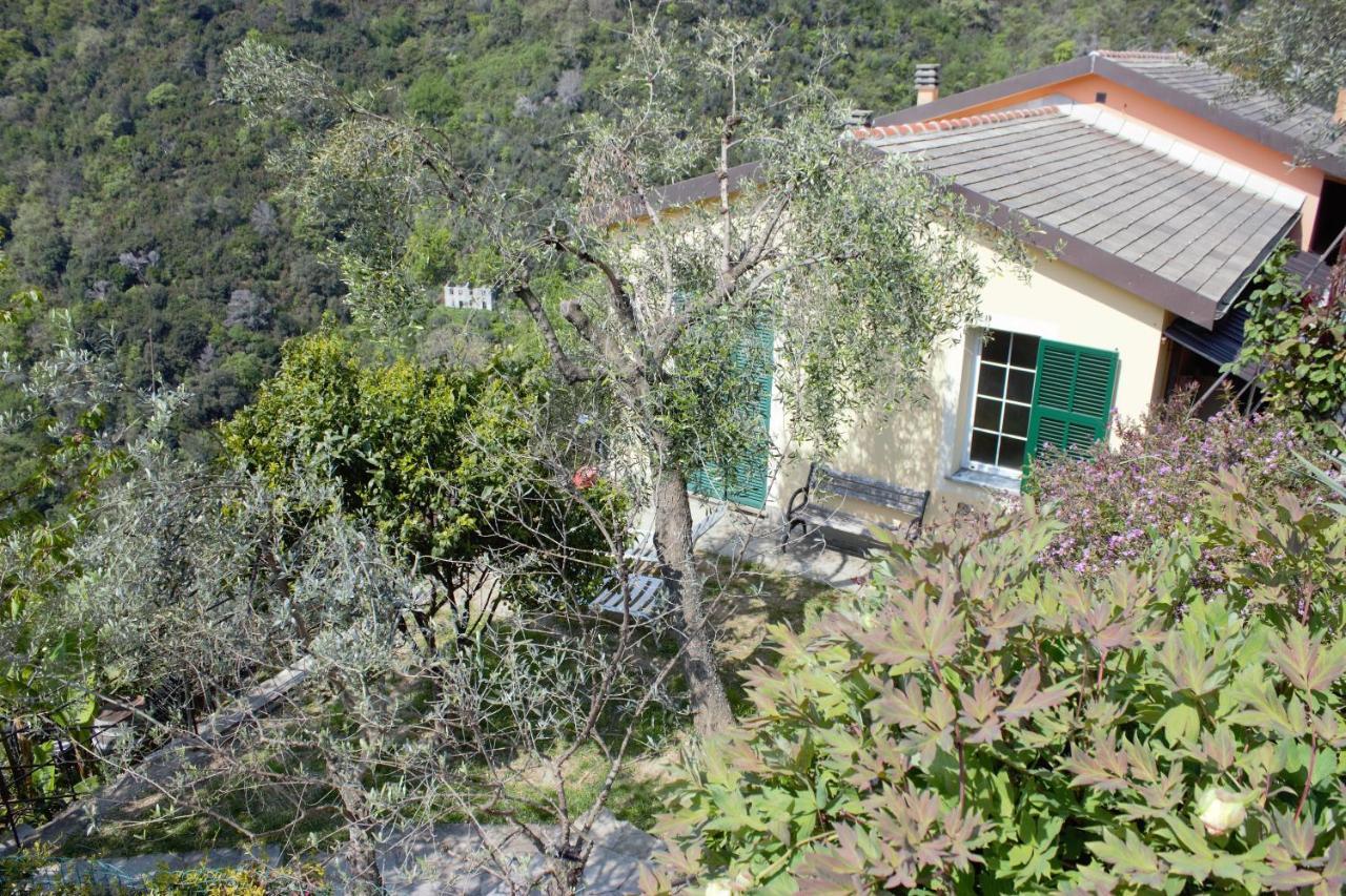 Azalea Villa Recco Eksteriør bilde