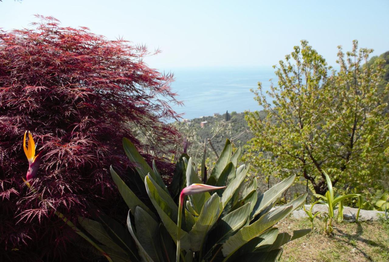 Azalea Villa Recco Eksteriør bilde